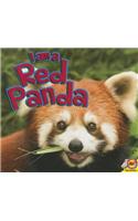 I Am a Red Panda