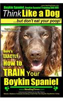 Boykin Spaniel, Boykin Spaniel Training AAA Akc