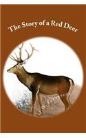 Story of a Red Deer