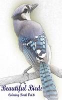 Beautiful Birds: Coloring Book Vol.6: An Adult Mindful Coloring Book of Birds in a Variety of Styles