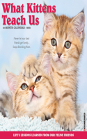 What Kittens Teach Us 2021 Wall Calendar