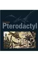 Pterodactyl