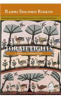 Torah Lights: Bemidbar: Trials and Tribulations in Times of Transition