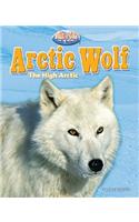 Arctic Wolf