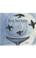 Sea Secrets: Tiny Clues to a Big Mystery