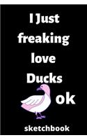 I Just Freaking Love ducks OK sketchbook