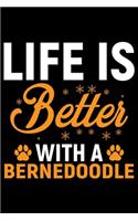 Life Is Better With A Bernedoodle