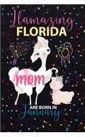Llamazing Florida Mom are Born in January