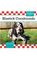 Bluetick Coonhounds