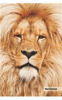 Lion Notebook