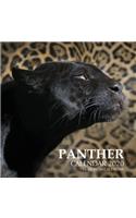 Panther Calendar 2020: 16 Month Calendar