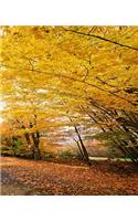 School Composition Book Fall Foliage Walking Path 130 Pages: (Notebook, Diary, Blank Book)