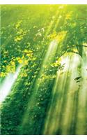 Sunlight Through Leaves Notebook: Blank Journal Diary Memoir Log Logue(55 Go Green 150 Lined)