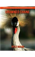 Crowned Crane! Learn about Crowned Crane and Enjoy Colorful Pictures