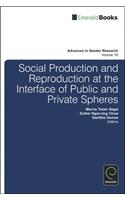 Social Production and Reproduction at the Interface of Public and Private Spheres