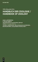 Morphology and Systematics (Elateroidea, Bostrichiformia, Cucujiformia Partim)