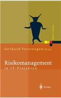 Risikomanagement in It-Projekten