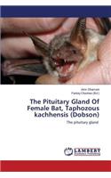 Pituitary Gland of Female Bat, Taphozous Kachhensis (Dobson)