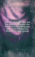 Acts of the Apostles and the Epistles translated into the Tenni or Slave language, for Indians of Mackenzie River, North-West Canada