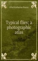 Typical flies; a photographic atlas