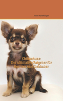 Chihuahua: Der ultimative Ratgeber für Besitzer und Liebhaber