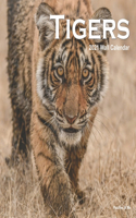 Tigers: 2021 Monthly Calendar