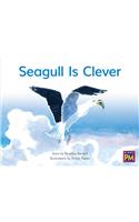 Seagull Is Clever: Leveled Reader Yellow Fiction Level 8 Grade 1(Rigby PM)