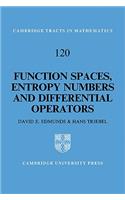 Function Spaces, Entropy Numbers, Differential Operators
