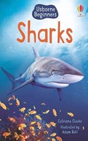 Sharks: (Beginners)