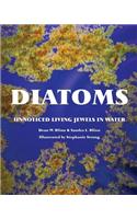 Diatoms: Unnoticed Living Jewels in Water