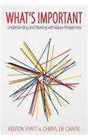 What's Important: Understanding and Working with Values Perspectives