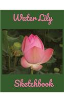 Water Lily Sketchbook