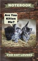 Notebook Are You Kitten Me For Cat Lovers: Cute Notepaper For Secretaries School Or Work Notes 5 X 8, 110 Pages