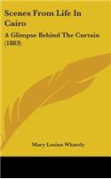 Scenes From Life In Cairo: A Glimpse Behind The Curtain (1883)