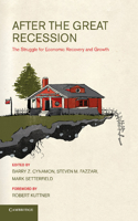 After the Great Recession: The Struggle for Economic Recovery and Growth