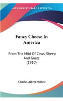 Fancy Cheese In America