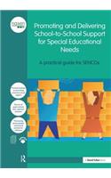 Promoting and Delivering School-To-School Support for Special Educational Needs