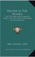 Walter In The Woods
