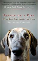 Inside of a Dog