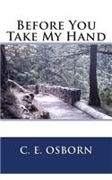 Before You Take My Hand