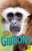 Gibbons: (Amazing Primates)
