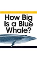 How Big Is a Blue Whale?