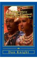 Violent Slave Master Has Trained Slaves for Violence: Stolen from Your Home in Africa Enslaved Americans