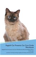 Ragdoll Cat Presents