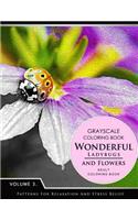 Wonderful Ladybugs and Flowers Books 3