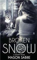 Broken Snow