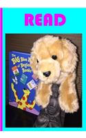 Read - Notebook / Journal / Extended Lined Pages / Soft Matte Cover: An Ethi Pike Collectible: Children's Creations