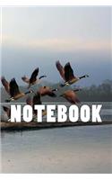 Migrating Geese Notebook