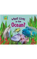 What Lives in the Ocean?