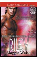 Riley [Stories from a Crossroads Demon 3] (Siren Publishing Allure Manlove)